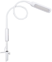 Native white Lumina Desk Lamp 